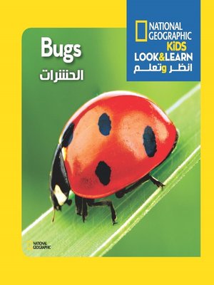 cover image of الحشرات - سلسلة انظر وتعلم من ناشيونال جيوجرافيك